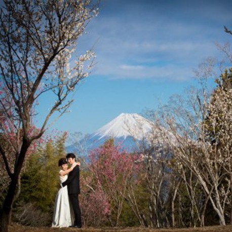 JAPAN Fujisan Pre-Wedding Photography