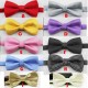 Formal Satin Boys Suit Neckties (9 Colors)