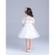 Pretty & Sweet Lacy Short Sleeve Flower Girl Dress