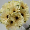 Summerpots Bridal Bouquet - Sunny Daisy