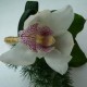 Summerpots Bridal Corsage & Boutonniere - White Orchid